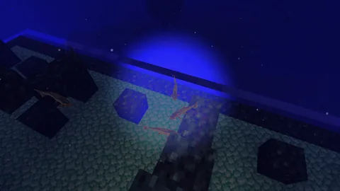 Fische über den Ruinen – Spielaufnahme aus Blackstone.