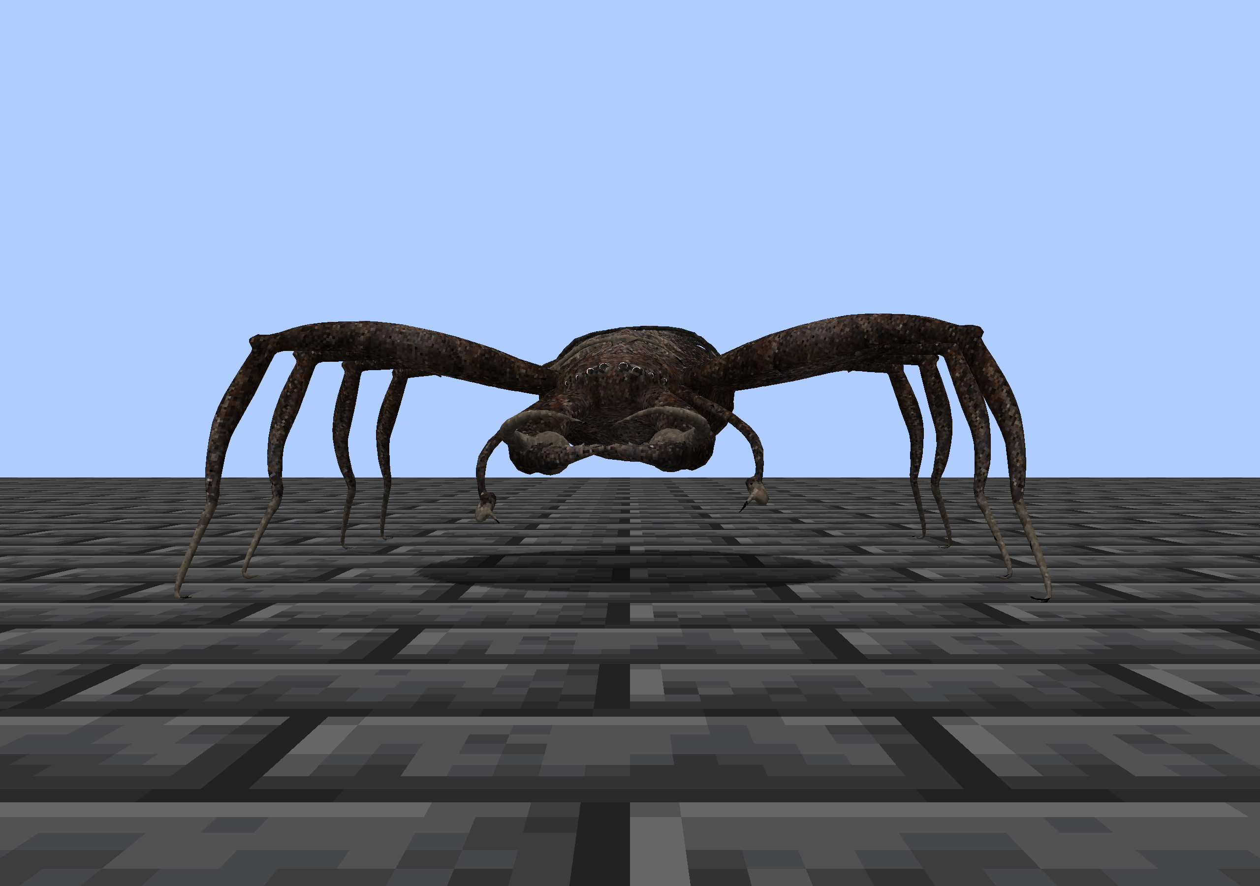 Scherenspinne im Spiel