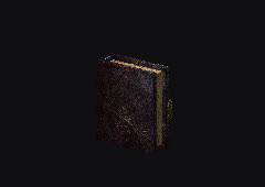 Bergungsbuch im Spiel